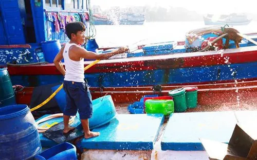 Thiếu lao động đi biển, nhiều tàu cá Quảng Ngãi "nằm bờ"