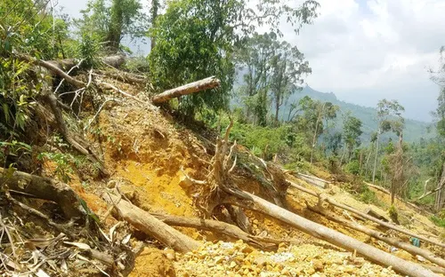 Đã có đối tượng thừa nhận hành vi hành hung nhà báo ở Khánh Hòa