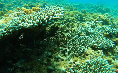 Bước chân khám phá "Đảo Phú Quý" (20h55, thứ Sáu, 16/3) trên VTV8