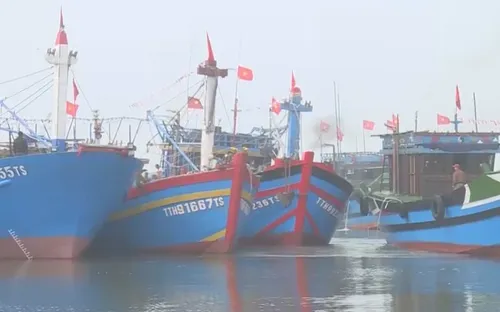 Ngư dân khó khăn tìm vốn đóng tàu theo Nghị định 17