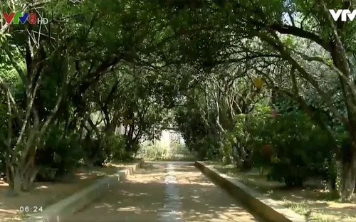 Nhà vườn An Hiên - Chốn bình yên xứ Huế