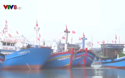 Ngư dân sẽ được hỗ trợ 35% kinh phí đóng tàu xa bờ