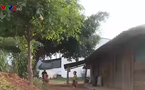 Đắk Lắk: Cảnh báo nạn dụ dỗ trẻ em đi lao động ở các tỉnh phía Nam