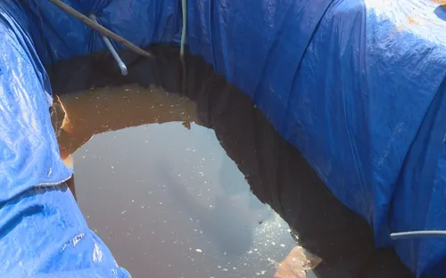 Quảng Nam: Chính quyền địa phương kiến nghị ngừng hoạt động nhà máy 6666