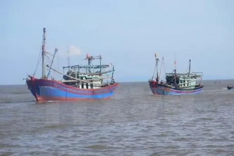 Quảng Nam: Kịp thời cứu nạn tàu câu mực bị hỏng máy trên biển