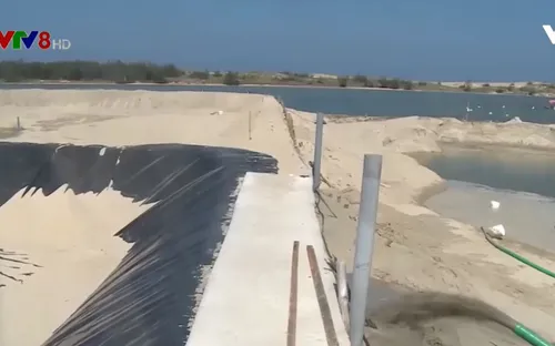 Phú Yên: Nhiều hộ cải tạo hồ nuôi tôm cao triều bằng cách bơm hút cát trái phép