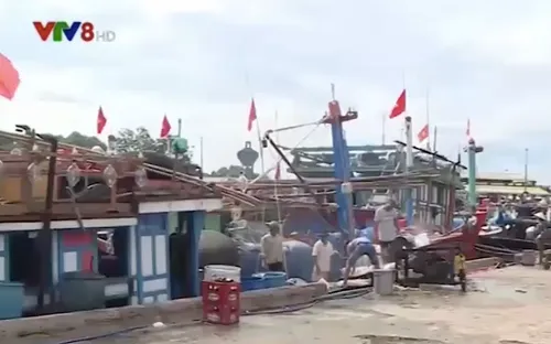 Bảo hiểm tai nạn cho ngư dân khai thác gần bờ