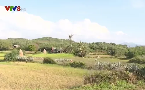 Phú Yên quyết liệt thu hồi dự án du lịch "treo"