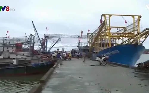 Ngư dân Quảng Trị được mùa đánh bắt cá vụ Bắc