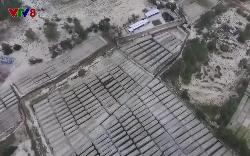 Phong trào khởi nghiệp của thanh niên Quảng Trị