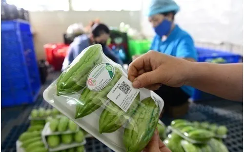 Đà Nẵng: Thí điểm dán tem QRcode truy nguồn gốc thực phẩm