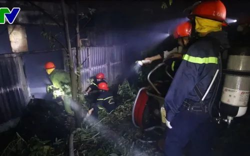 Đà Nẵng: 2 năm, trại dế cháy 2 lần khiến chủ trại suy sụp