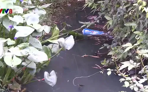 Bình Định: Hơn 800 hộ dân huyện Tuy Phước không có nước sạch sinh hoạt