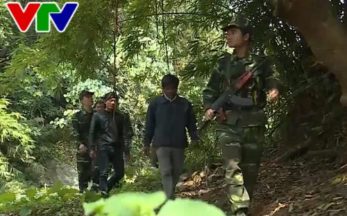 Quảng Trị tăng cường phòng chống xâm hại rừng trên vùng biên giới