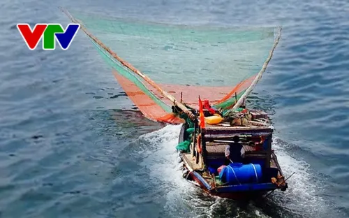 Bình Thuận kiên quyết loại bỏ tàu cá hành nghề giã cào dưới mọi hình thức