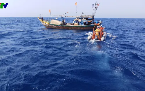Cứu thuyền viên tàu cá Quảng Nam bị tai nạn lao động nguy kịch trên biển