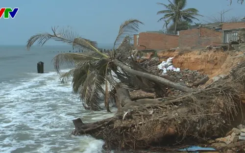 Bình Thuận gặp nhiều khó khăn trong di dời dân ra khỏi vùng sạt lở
