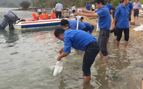 59 năm Ngày truyền thống Nghề cá: Các tỉnh miền Trung thả tôm cá giống, tái tạo nguồn lợi thủy sản