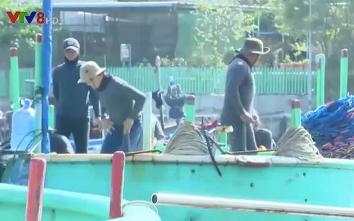 Hiểm nguy tai biến trong nghề lặn biển