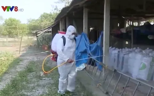 Thừa Thiên Huế: Tăng cường tiêu độc khử trùng tháng cao điểm