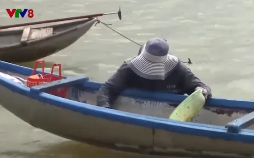 Quảng Ngãi: Người dân ven sông Trà vào mùa cào don