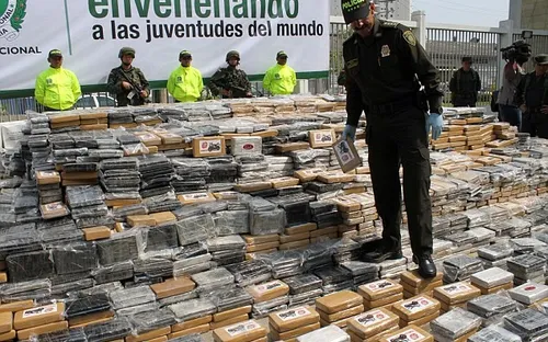 Colombia bắt giữ hơn 5 tấn cocaine giấu trong lô chuối