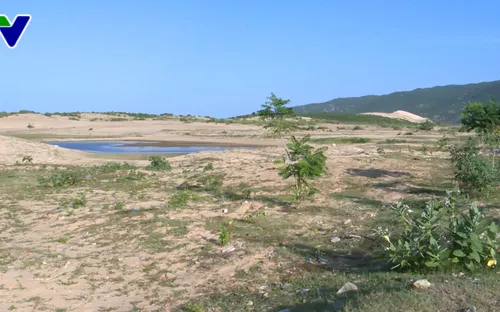 Phú Yên thu hồi chứng nhận đầu tư dự án nhà máy lọc hóa dầu Vũng Rô