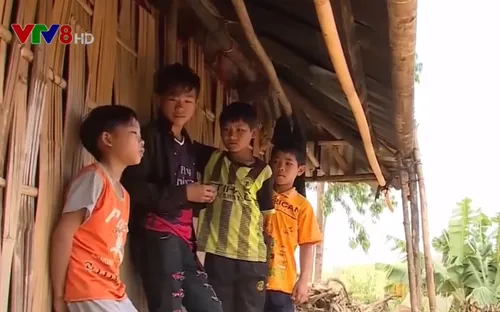 Nhức nhối tình trạng lao động trẻ em nông thôn bị bạo hành