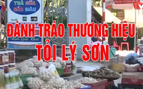 Đánh tráo thương hiệu tỏi Lý Sơn