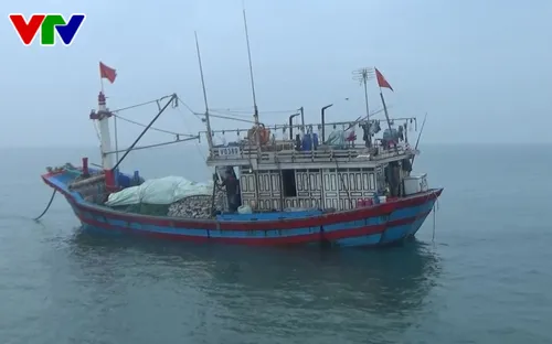 BĐBP Quảng Bình phối hợp cứu nạn tàu cá cùng 9 thuyền viên