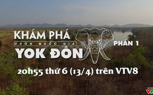 Khám phá vườn quốc gia Yok Đôn - Phần 1 (20h55 thứ Sáu, 13/4 trên VTV8)