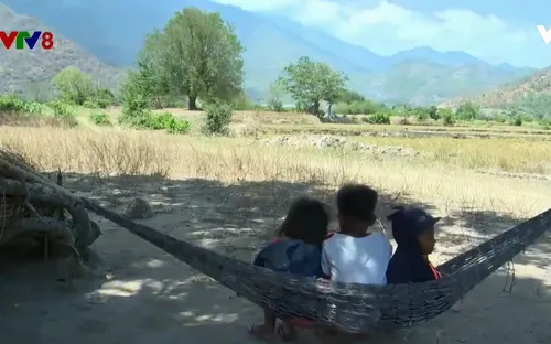 Ninh Thuận: Mất sinh kế trong mùa khô hạn, cuộc sống người dân gặp nhiều khó khăn