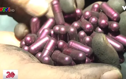 Thuốc chữa ung thư từ bột than tre ảnh hưởng đến sức khỏe người sử dụng thế nào?