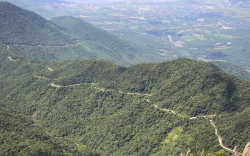 Dự án "Trường Sơn xanh" tại Huế và Quảng Nam được tài trợ 10 triệu USD