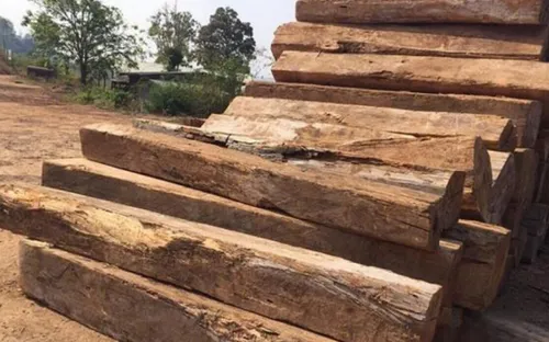 Kon Tum điều tra, xác minh vụ vận chuyển gỗ không rõ nguồn gốc