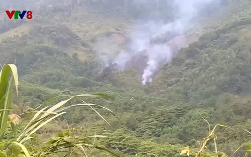 Quảng Nam tăng cường phòng chống cháy rừng