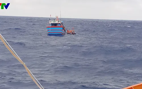 Cứu nạn thuyền viên tàu ĐNa 90765 TS bị chìm trong điều kiện gió mùa tăng cường mạnh