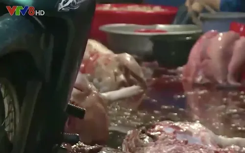 Bình Định di dời các cơ sở giết mổ gia cầm nhỏ lẻ