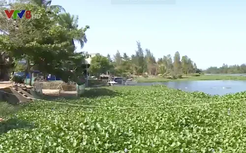 Trường Giang - Dòng sông chết