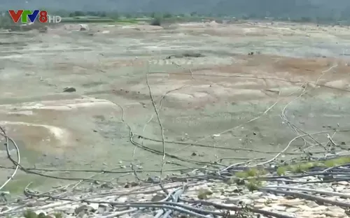 Ninh Thuận "cầm cự" trong nắng hạn