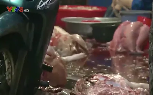 Bình Định: Khó di dời các hộ giết mổ gia súc nhỏ lẻ