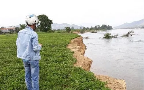 Bình Định: Nông dân mất đất do khai thác cát