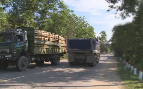 Quảng Nam: Xe tải trọng lớn ngang nhiên vào đường hạn chế