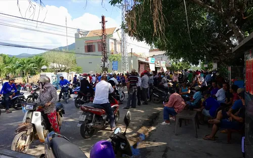 Làm rõ phản ánh, kiến nghị của người dân liên quan đến Dự án điện gió tại Bình Định