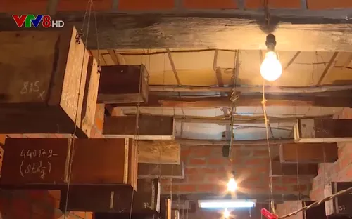 Nuôi ong thích ứng biến đổi khí hậu