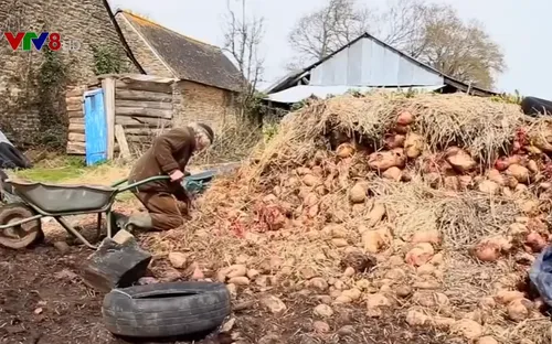 Nông dân Pháp giữ gìn phương pháp canh tác truyền thống