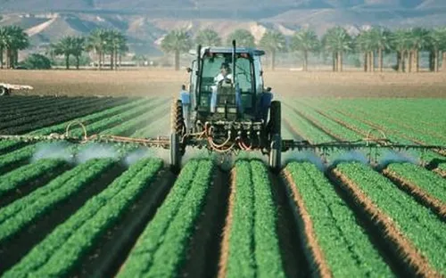 EU thông qua lệnh cấm sử dụng thuốc trừ sâu