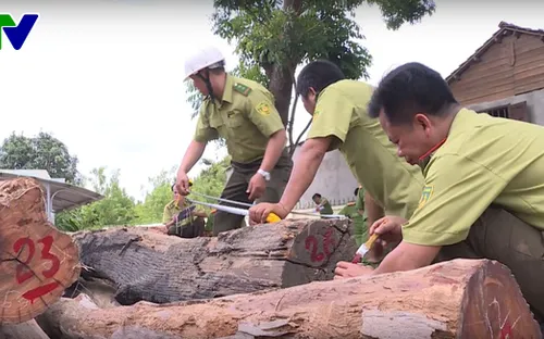 Bộ Công an phát hiện thêm nhiều gỗ quý trong kho của Phượng "râu" dành xây biệt thự