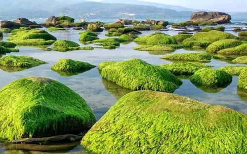 Độc đáo ghềnh đá Nam Ô