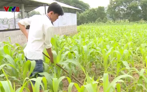 Tấm gương thanh niên vượt lên nghịch cảnh